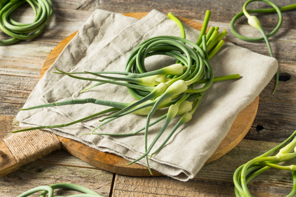 Tender Grilled Garlic Scapes